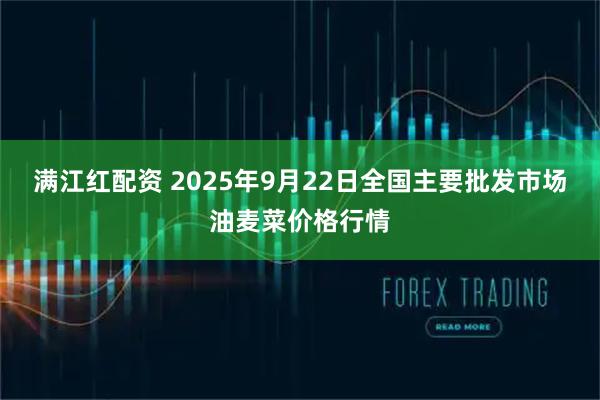 满江红配资 2025年9月22日全国主要批发市场油麦菜价格行情