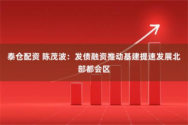 泰仓配资 陈茂波：发债融资推动基建提速发展北部都会区