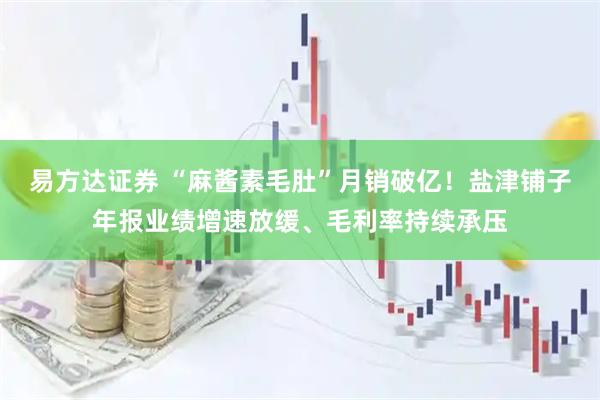 易方达证券 “麻酱素毛肚”月销破亿！盐津铺子年报业绩增速放缓、毛利率持续承压