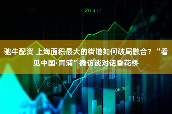 驰牛配资 上海面积最大的街道如何破局融合？“看见中国·青浦”微访谈对话香花桥