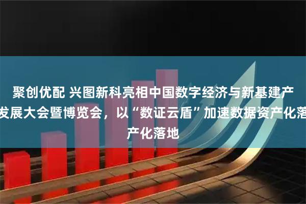 聚创优配 兴图新科亮相中国数字经济与新基建产业发展大会暨博览会，以“数证云盾”加速数据资产化落地