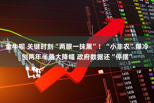 金牛呗 关键时刻“两眼一抹黑”！“小非农”爆冷创两年半最大降幅 政府数据还“停摆”