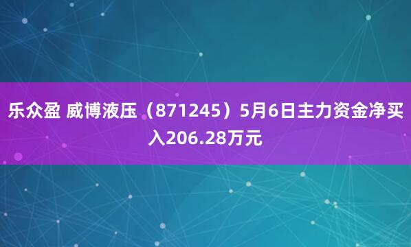 乐众盈 威博液压（871245）5月6日主力资金净买入206.28万元