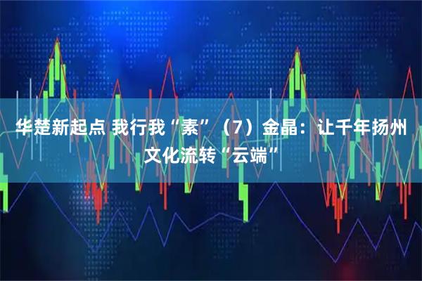 华楚新起点 我行我“素”（7）金晶：让千年扬州文化流转“云端”