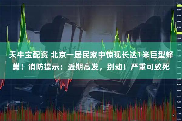 天牛宝配资 北京一居民家中惊现长达1米巨型蜂巢！消防提示：近期高发，别动！严重可致死