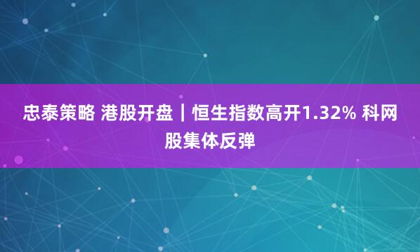 忠泰策略 港股开盘｜恒生指数高开1.32% 科网股集体反弹